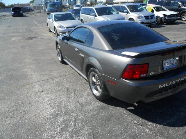DSCN5429.webp