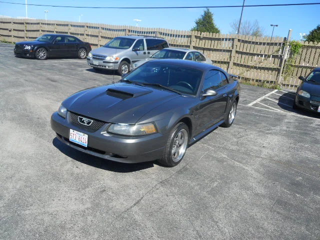 DSCN5431.webp