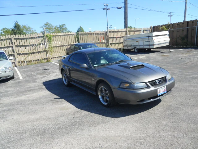 DSCN5433.webp
