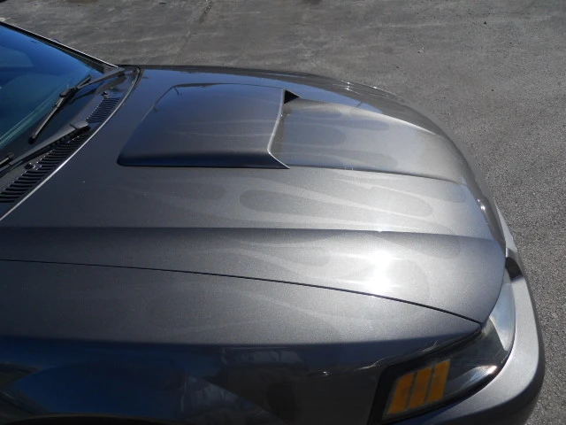 DSCN5436.webp