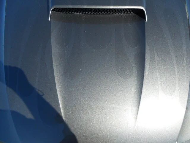 DSCN5437.webp