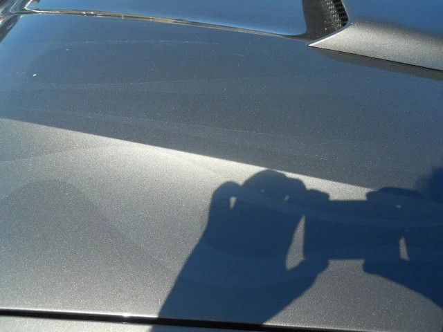 DSCN5438.webp