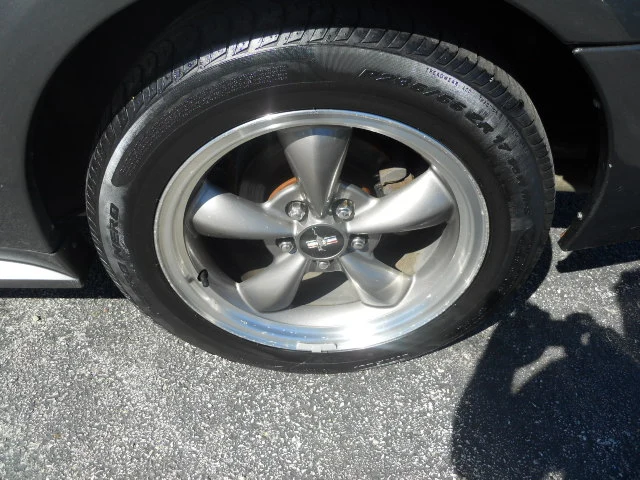 DSCN5440.webp