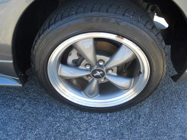 DSCN5442.webp
