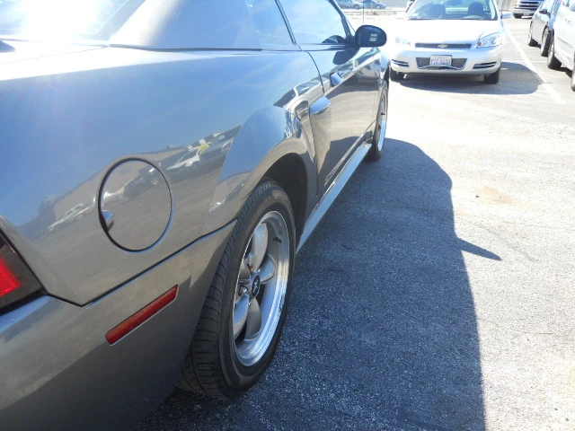 DSCN5443.webp