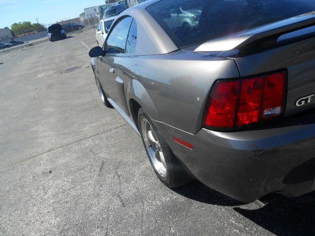 DSCN5444.webp