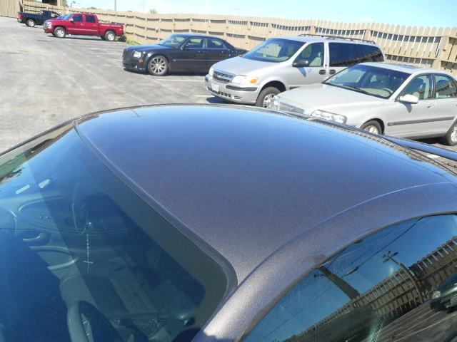 DSCN5446.webp