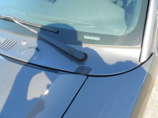 DSCN5448.webp