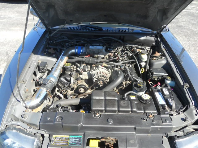 DSCN5449.webp