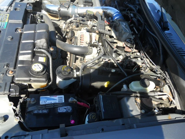 DSCN5451.webp
