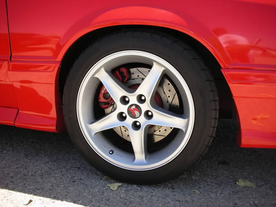 DSCN5513.webp