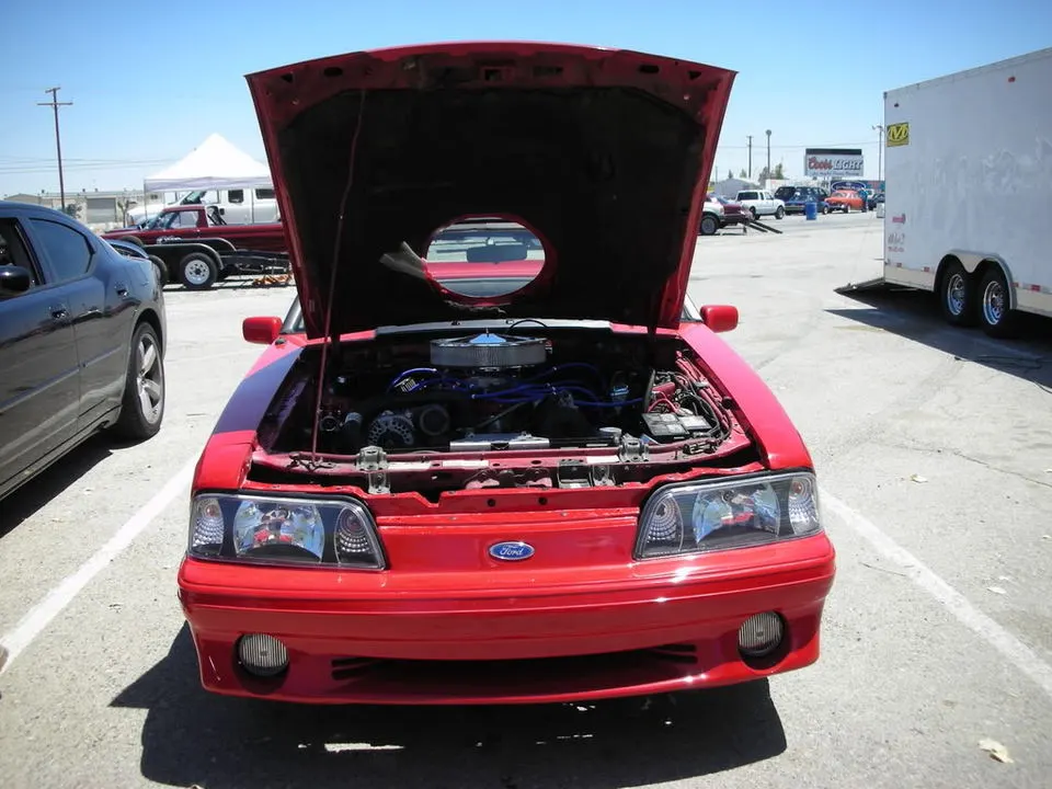 DSCN5528.webp