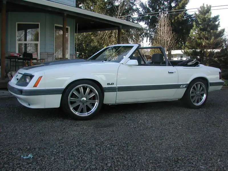 DSCN5592.webp