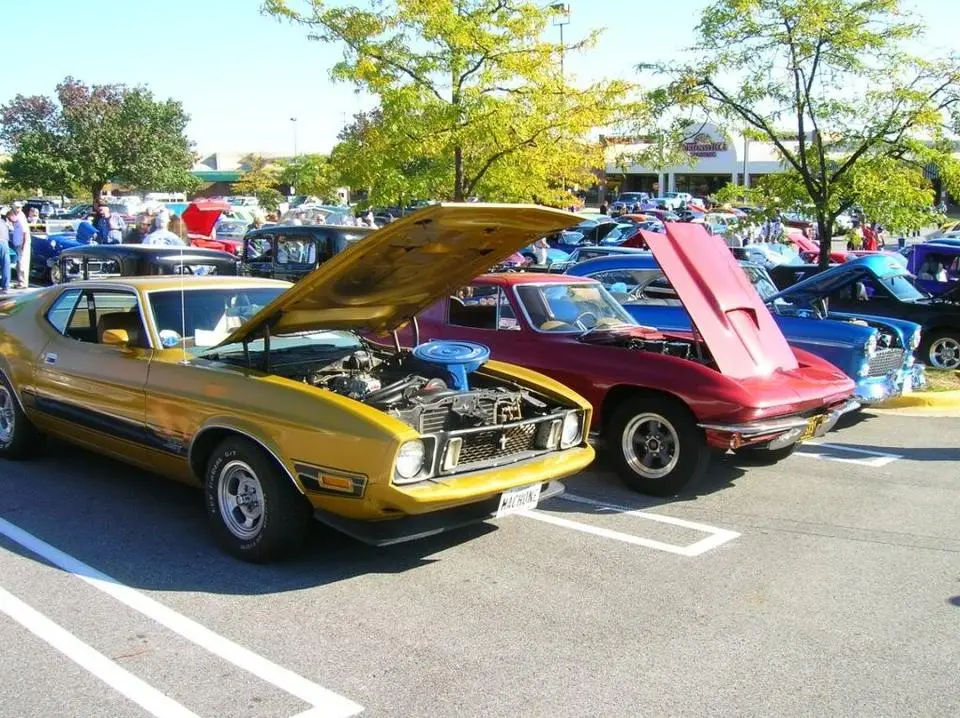 DSCN5752.webp