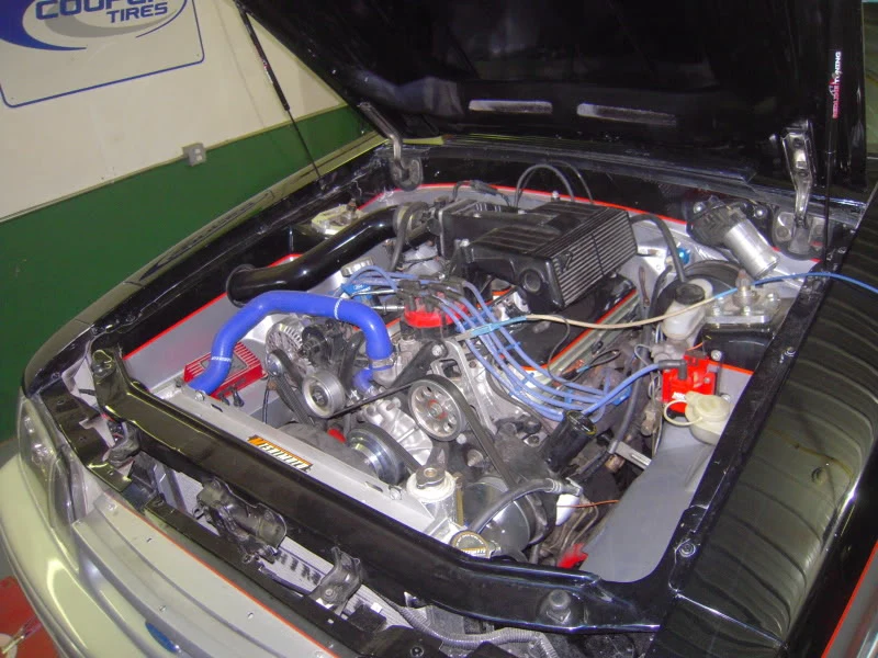 DSCN5881.webp