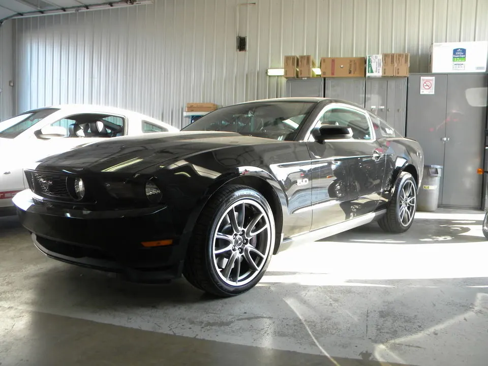 DSCN6078.webp