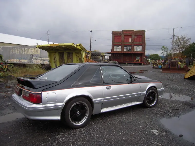 DSCN6102.webp