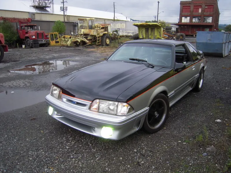 DSCN6113.webp