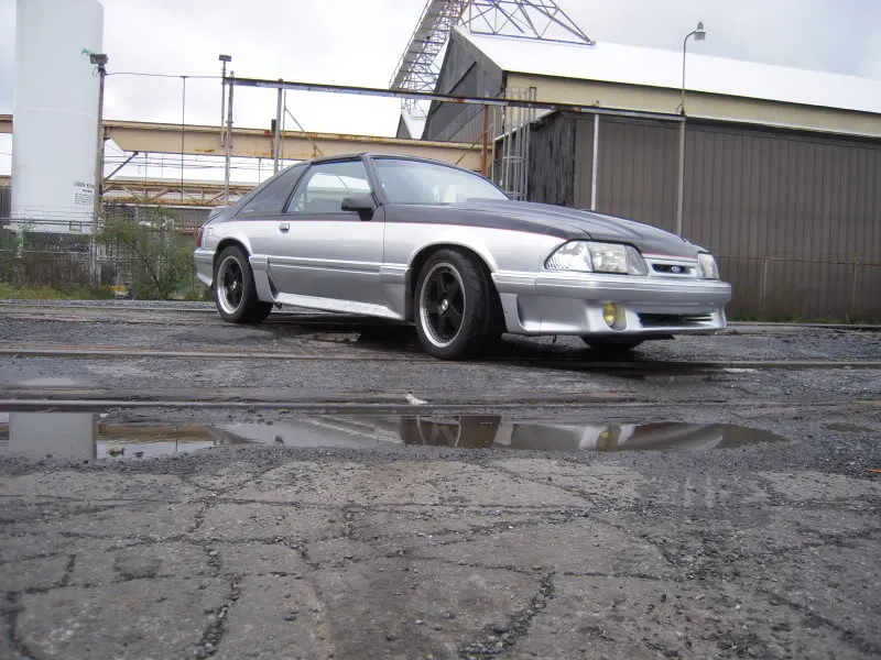 DSCN6117.webp