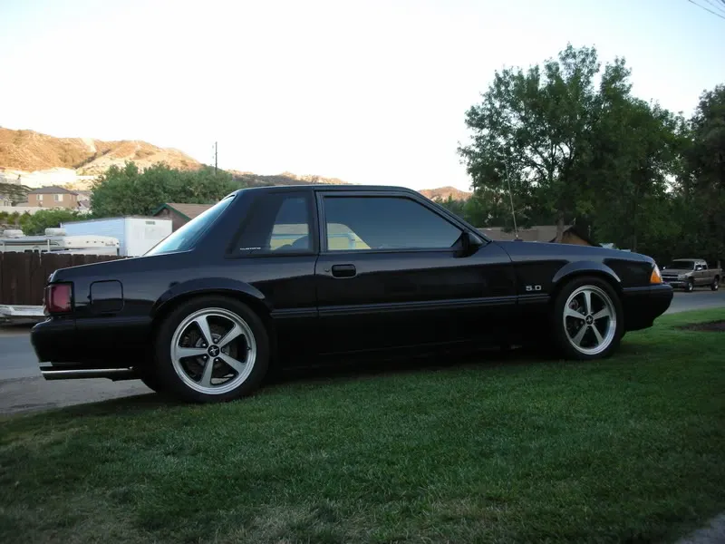 DSCN6181.webp