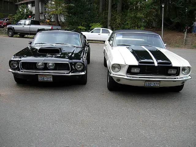 DSCN6258.webp