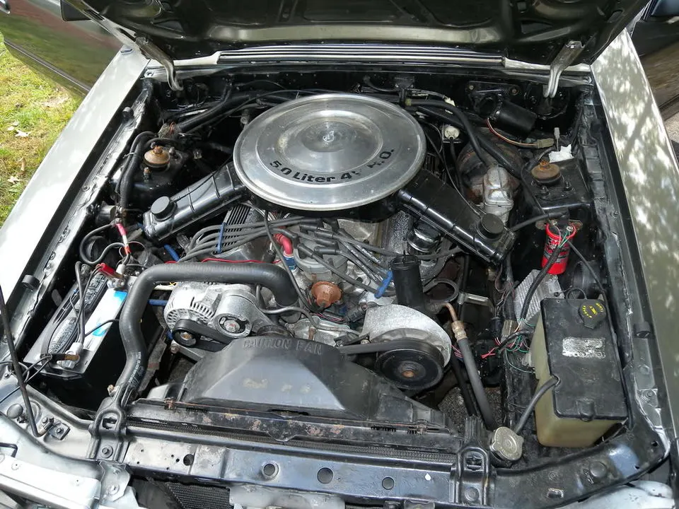 DSCN6320.webp