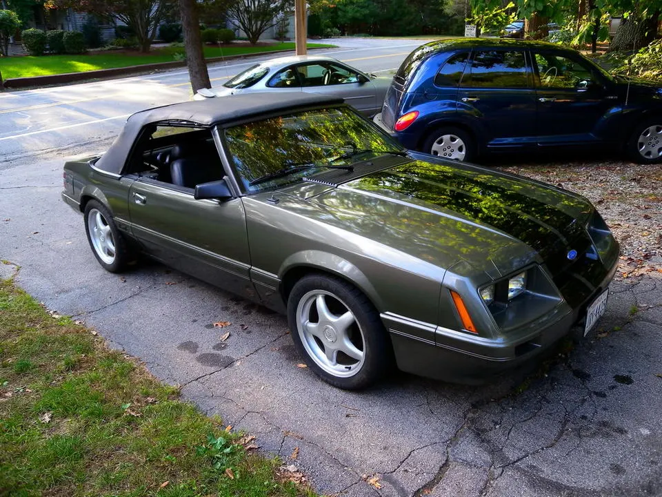DSCN6396.webp