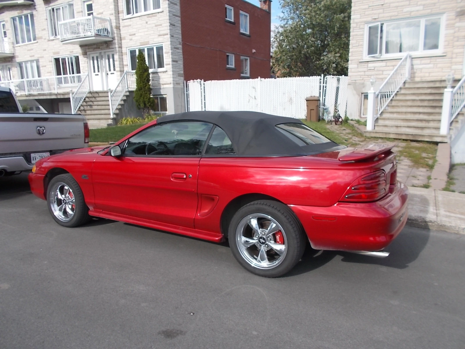 DSCN6544.webp