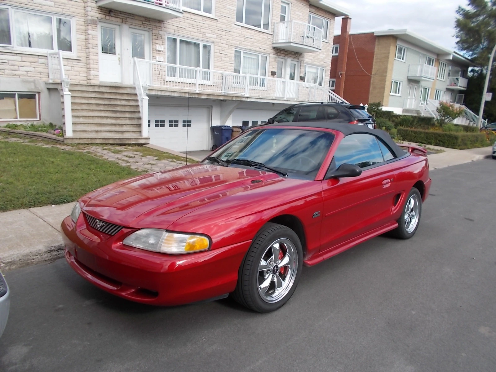 DSCN6545.webp