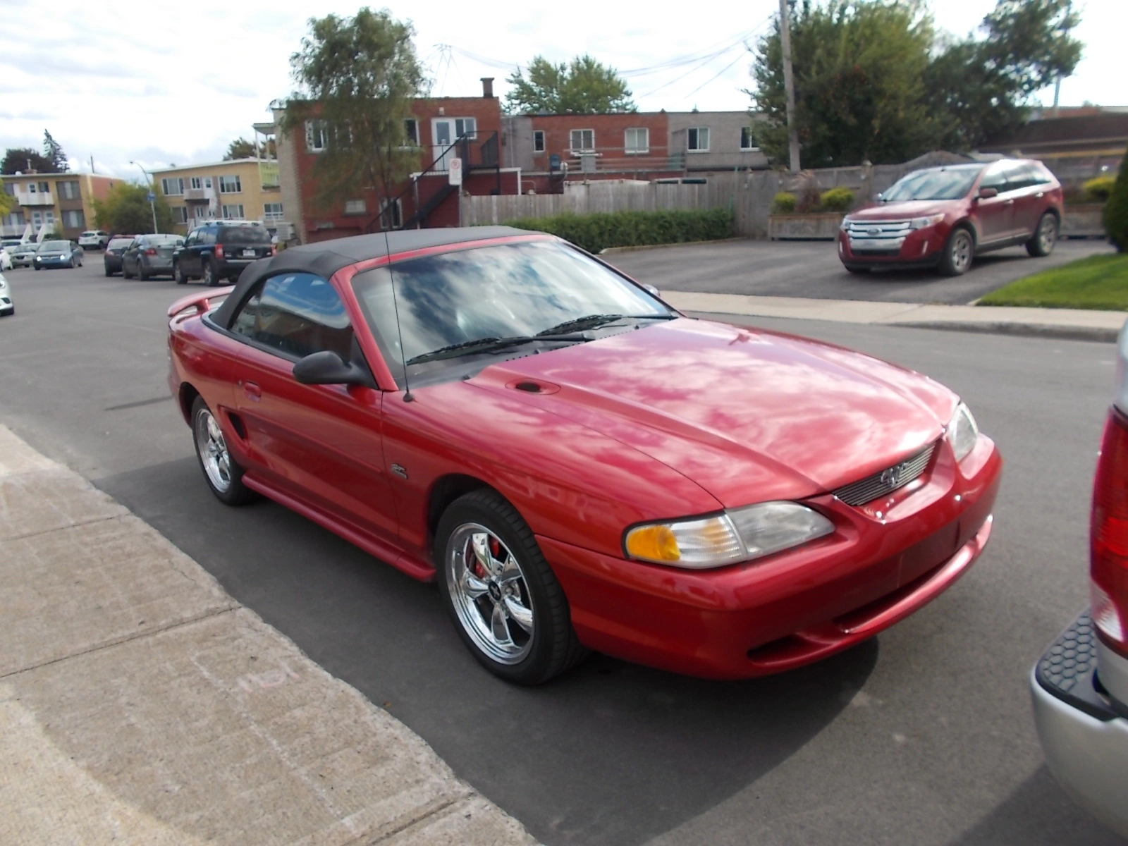 DSCN6550.webp