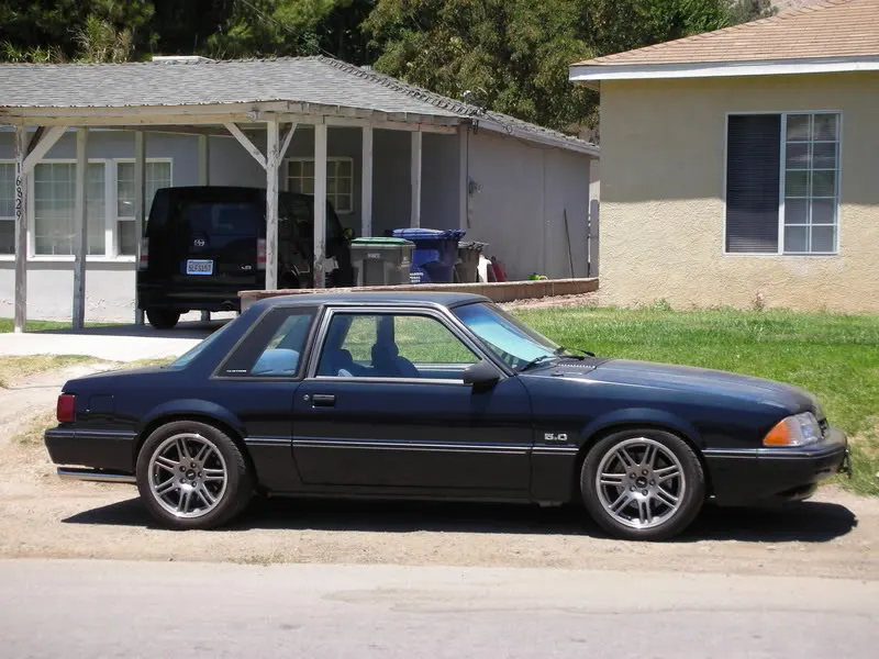 DSCN6944.webp
