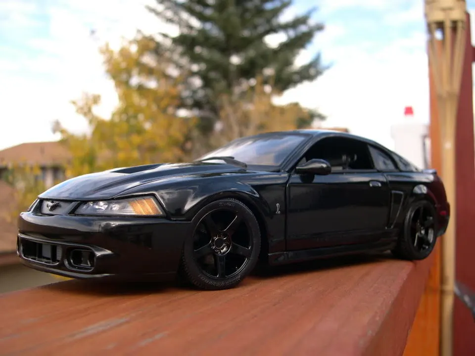 DSCN7782.webp