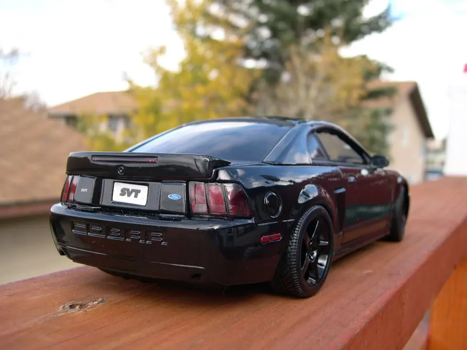 DSCN7783.webp