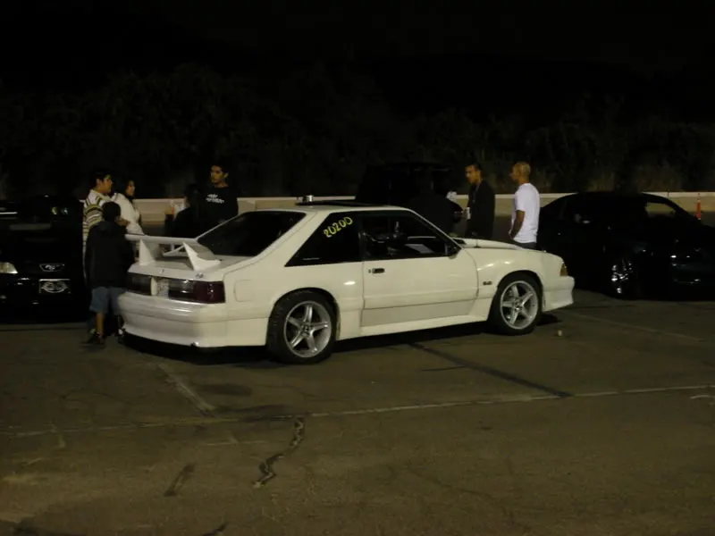 DSCN8243.webp