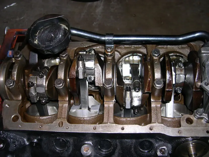 DSCN8368.webp