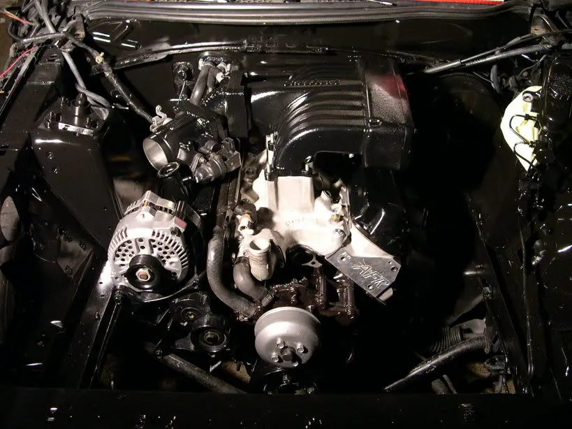 DSCN8665.webp