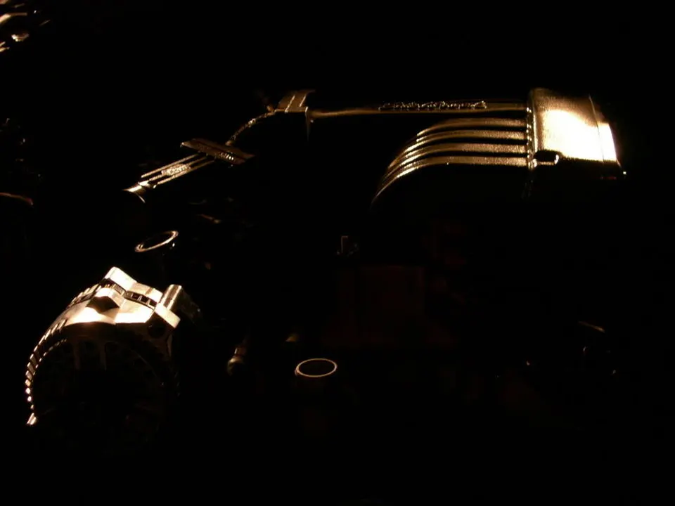 DSCN8674.webp