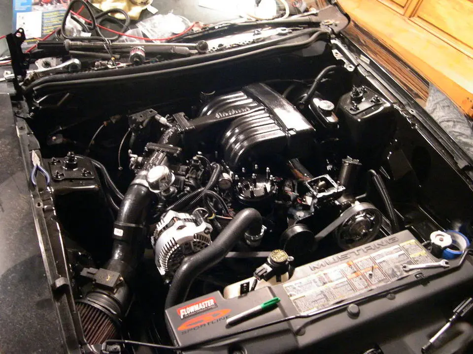 DSCN8973.webp
