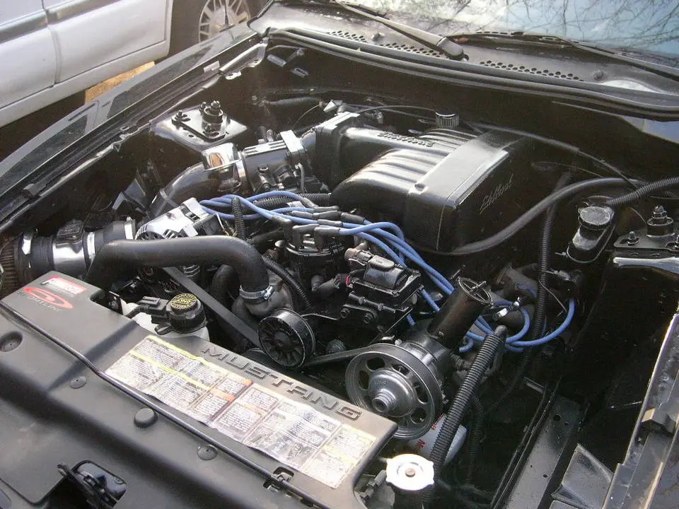 DSCN9108.webp