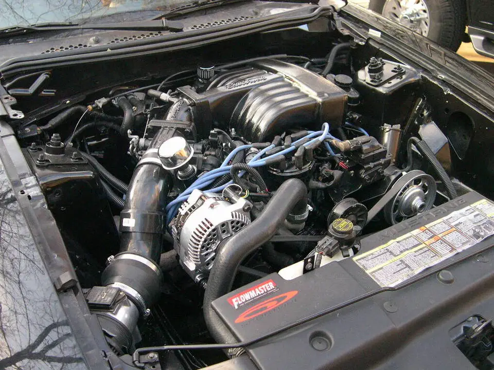 DSCN9109.webp