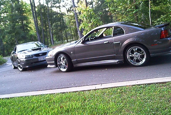 DSGStangs004.webp
