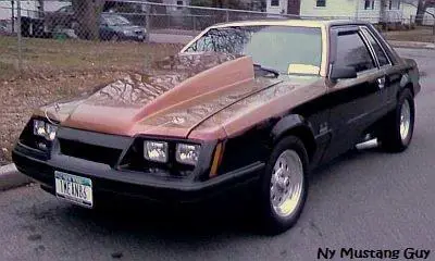 DStang.webp