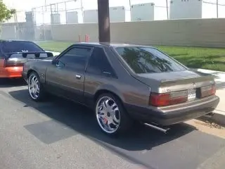ducktail.webp