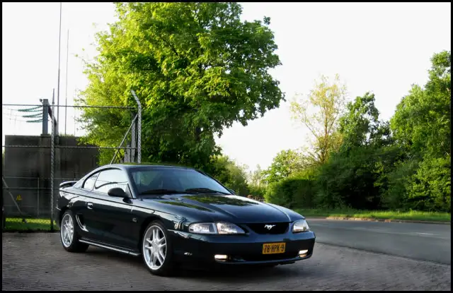 dutch50.webp