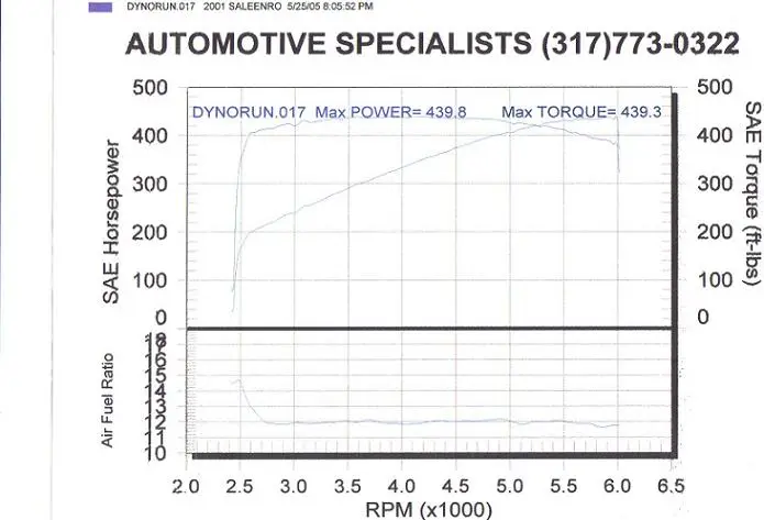 Dyno-42lb.webp