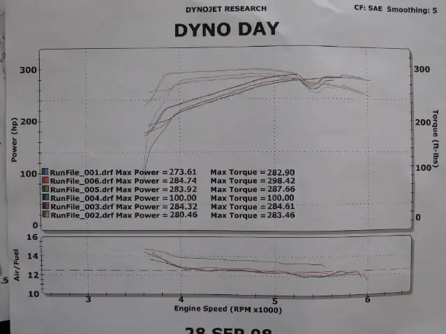 dyno.webp