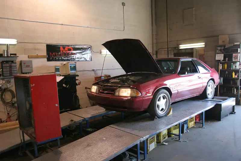 Dyno1one.webp