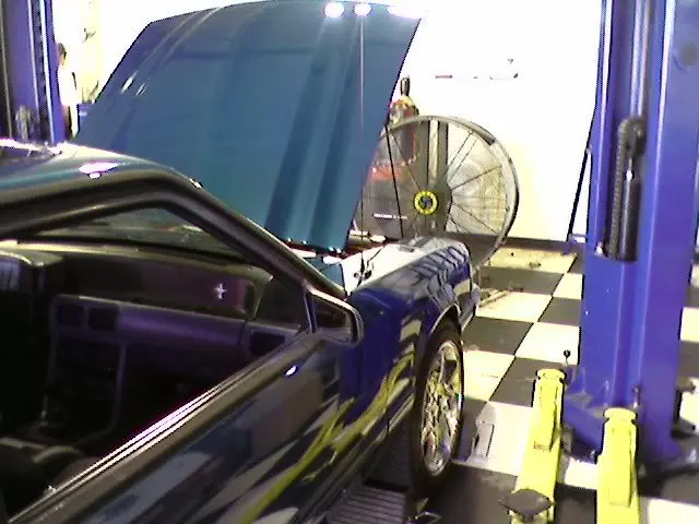 DYNO2.webp