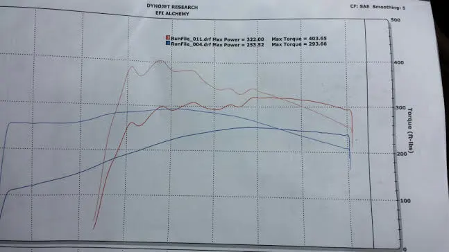dyno2.webp