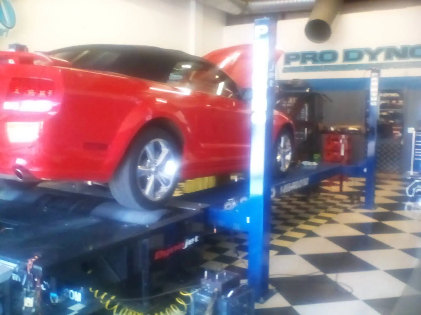 dyno2.webp